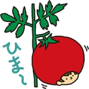 LINE無料スタンプ | タキットくん×タキイ種苗