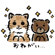 LINE無料スタンプ | お買い物ねことゆるい熊×ストライプクラブ