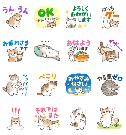 LINE無料スタンプ | 毎日つかえる☆猫たちのスタンプ スタンプ内容 16個