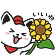 LINE無料スタンプ | 出前にゃんスタンプ～夏～