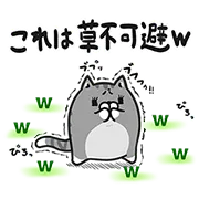 LINE無料スタンプ | 草不可避w ボンレス猫スペシャルスタンプ